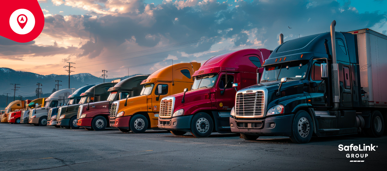 renovación de flotas