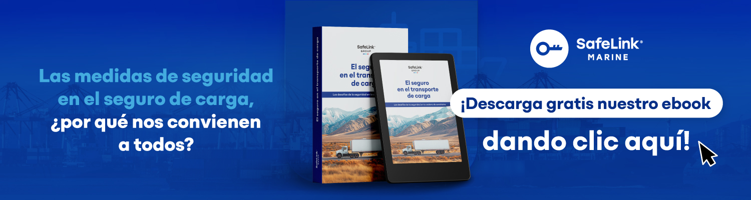 seguro de carga